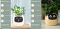 Smart Planter Endless Fun Over 49 Rich Expressions 7 Smart Sensors And AI Chips Make Raising Plants Easy And FunSet56Small