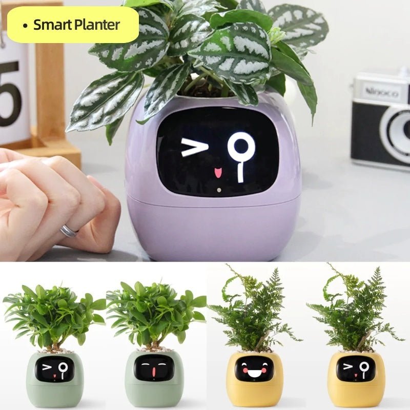 Smart Planter Endless Fun Over 49 Rich Expressions 7 Smart Sensors And AI Chips Make Raising Plants Easy And FunGreenSmall