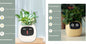 Smart Planter Endless Fun Over 49 Rich Expressions 7 Smart Sensors And AI Chips Make Raising Plants Easy And FunSet30Small