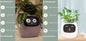 Smart Planter Endless Fun Over 49 Rich Expressions 7 Smart Sensors And AI Chips Make Raising Plants Easy And FunSet51Small