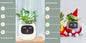 Smart Planter Endless Fun Over 49 Rich Expressions 7 Smart Sensors And AI Chips Make Raising Plants Easy And FunSet54Small